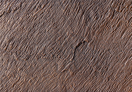 137银河galaxy(浏览器)官网 - APP下载入口