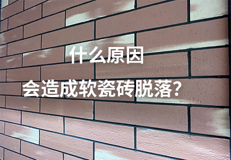 137银河galaxy(浏览器)官网 - APP下载入口